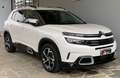 Citroen C5 Aircross 2.0 bluehdi Feel s&s 180cv eat8 my19 Bianco - thumbnail 7