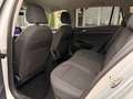 Volkswagen Golf Variant 2,0 TDI Life DSG 4MOTION/ZAHNRIEMEN & SERVICE N... Silber - thumbnail 26
