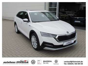 Scout 2.0 TDI 4x4 DSG PANO/AHK/STHZG