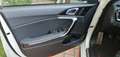 Kia ProCeed / pro_cee'd 1.6 crdi GT Line Adas Pack 136cv Bianco - thumbnail 6