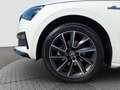 Skoda Scala 1.0 TSI Monte Carlo ACC DESIGN KAM LED ACC Weiß - thumbnail 14