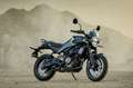 Husqvarna Svartpilen 401 (Juni 2025) , Neufahrzeug – 0 km, A2-tauglic - thumbnail 3