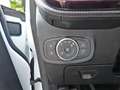 Ford Fiesta SONDERMODEL-VIGNALE  KAMERA LHZ LM17" Wit - thumbnail 30