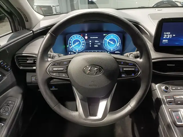 Hyundai Santa Fe view 10