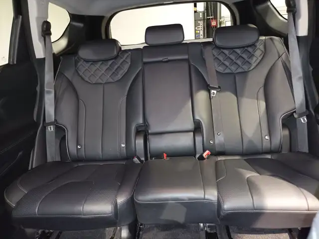Hyundai Santa Fe view 15