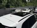 Audi SQ7 4.0 TDI quattro Matrix Leder Navi Pano Lift Bianco - thumbnail 14