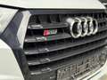 Audi SQ7 4.0 TDI quattro Matrix Leder Navi Pano Lift Bianco - thumbnail 8