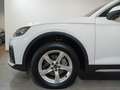 Audi Q5 40 TDI 204 CV quattro S.tr. Advanced OFFERTA PROMO Wit - thumbnail 6