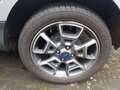 Ford EcoSport Titanium 125PS 2HD+SCHECKHEFT+NAVI+WINTERPAKET+USB Zilver - thumbnail 18