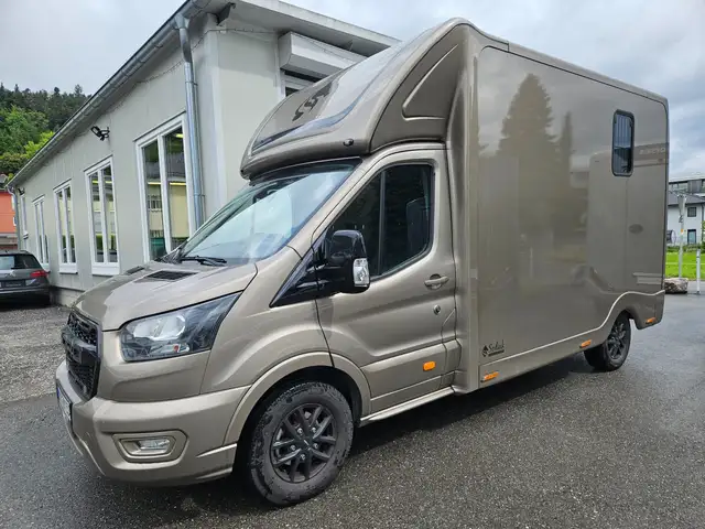 Ford Transit Sodiak Pferdetransporter "Automatik" Ansicht 1