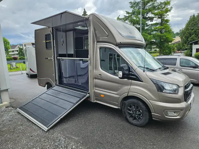 Ford Transit Sodiak Pferdetransporter "Automatik" Ansicht 16