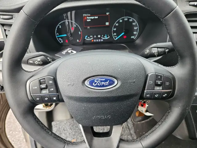 Ford Transit Sodiak Pferdetransporter "Automatik" Ansicht 8