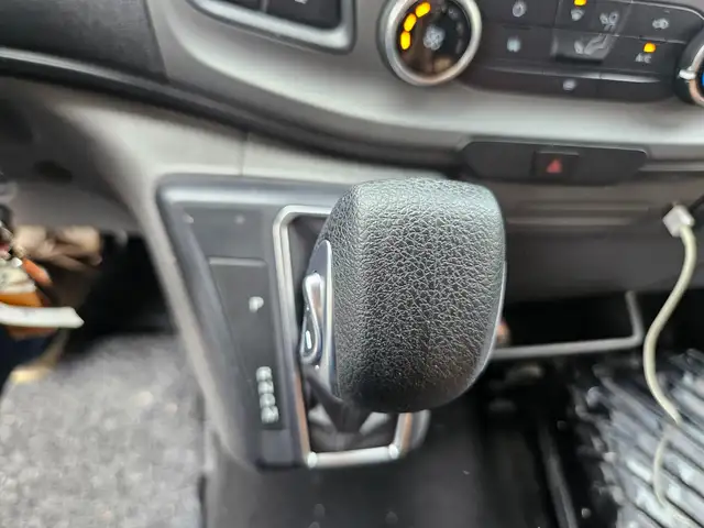 Ford Transit Sodiak Pferdetransporter "Automatik" Ansicht 13