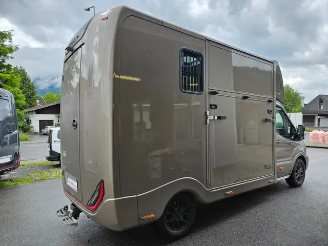 Ford Transit Sodiak Pferdetransporter "Automatik" Ansicht 3
