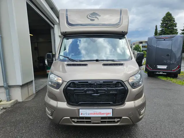 Ford Transit Sodiak Pferdetransporter "Automatik" Ansicht 4