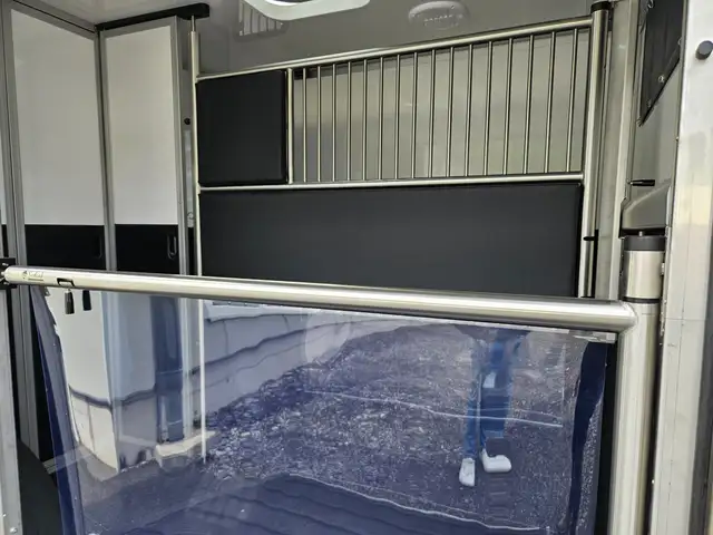 Ford Transit Sodiak Pferdetransporter "Automatik" Ansicht 14