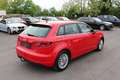 Audi A3 SB quattro Daylight 2,0 TDI S-tronic *2Besitz* Rot - thumbnail 5
