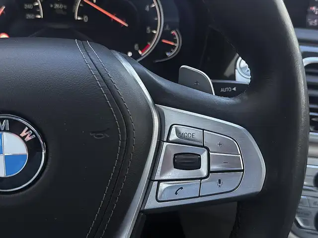 BMW 7 Series view 12