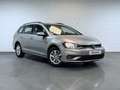 Volkswagen Golf Variant 1.0 TSI Edition 85kW Gris - thumbnail 1