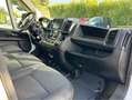 Fiat Ducato 2.2 MULTIJET CASSONE FISSO-CLIMA Weiß - thumbnail 11