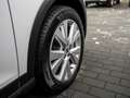 SEAT Arona 1.0 TSI Xperience DSG AHK FULL-LINK PDC Weiß - thumbnail 5