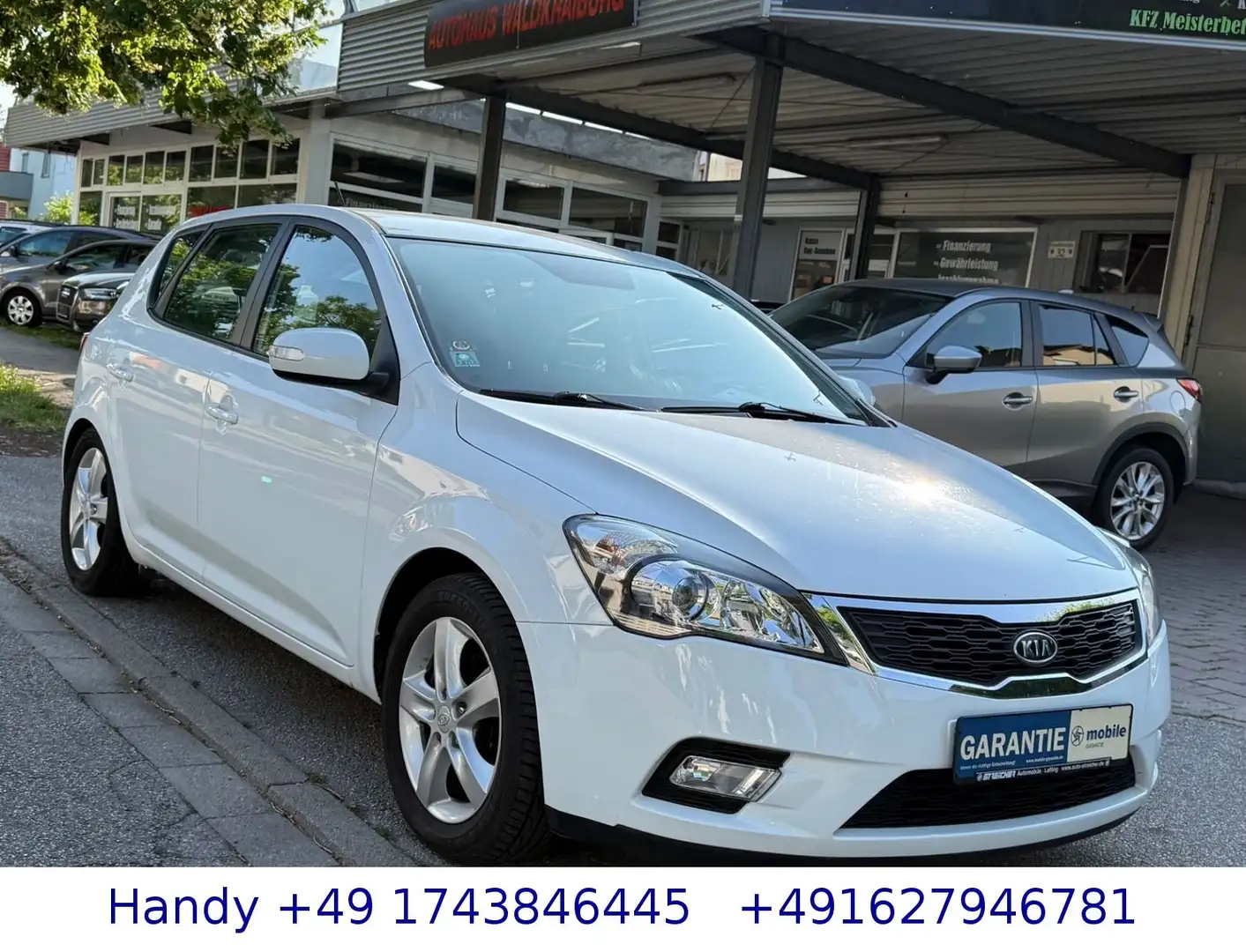Kia Ceed / cee'd Ceed 1.4i Spirit/SHZ/PDC/S-HEFT/BLUETOOTH/USB Blanc - 2