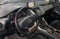 Lexus NX 300 300h Business Navigation 2WD Negro - thumbnail 6