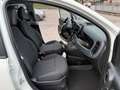 Fiat Panda - 1.0 FireFly S&S Hybrid  Cross Wit - thumbnail 8