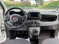 Fiat Panda - 1.0 FireFly S&S Hybrid  Cross Wit - thumbnail 9
