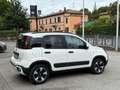 Fiat Panda - 1.0 FireFly S&S Hybrid  Cross Wit - thumbnail 4