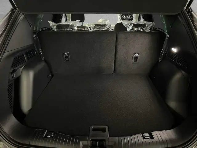 Ford Kuga view 10