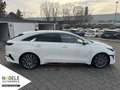 Kia ProCeed / pro_cee'd Proceed 1.6 T-GDI DCT GT|Navi| Panoramadach Weiß - thumbnail 7