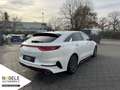 Kia ProCeed / pro_cee'd Proceed 1.6 T-GDI DCT GT|Navi| Panoramadach Weiß - thumbnail 6