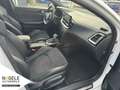 Kia ProCeed / pro_cee'd Proceed 1.6 T-GDI DCT GT|Navi| Panoramadach Weiß - thumbnail 13