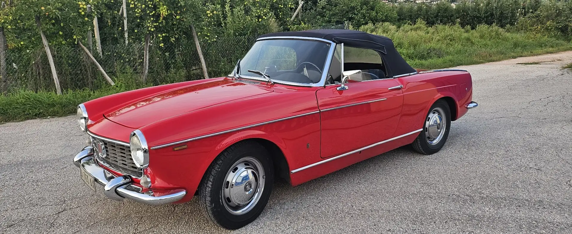 Fiat Pininfarina 1500 Rouge - 1