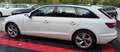 Audi A4 Avant 45 TFSI*QUATTRO*HEAD UP*ACC Blanco - thumbnail 12