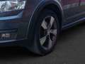 Skoda Octavia Octavia 2.0 TDI NUR GEWERBE 1 Hd. 4x4 DSG Scout - thumbnail 10