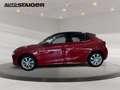 Opel Corsa Edition Ohne Firlefanz mit Parkpilot,... Rot - thumbnail 9