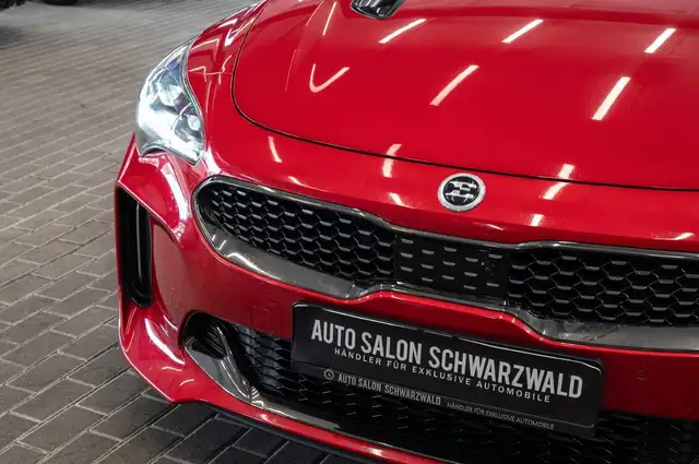 Kia Stinger view 10