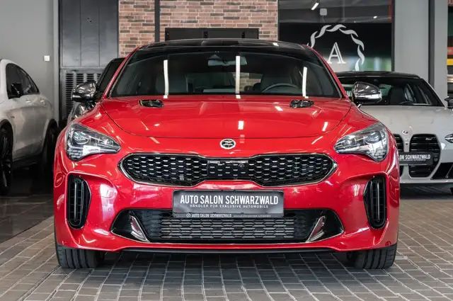 Kia Stinger view 5