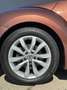 Volkswagen Beetle Cabriolet Design and Sound TOP ZUSTAND Braun - thumbnail 28