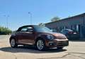 Volkswagen Beetle Cabriolet Design and Sound TOP ZUSTAND Braun - thumbnail 3
