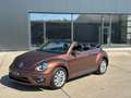 Volkswagen Beetle Cabriolet Design and Sound TOP ZUSTAND Braun - thumbnail 10