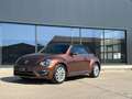 Volkswagen Beetle Cabriolet Design and Sound TOP ZUSTAND Braun - thumbnail 1
