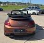 Volkswagen Beetle Cabriolet Design and Sound TOP ZUSTAND Braun - thumbnail 12