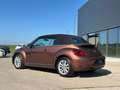 Volkswagen Beetle Cabriolet Design and Sound TOP ZUSTAND Braun - thumbnail 7