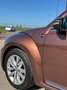 Volkswagen Beetle Cabriolet Design and Sound TOP ZUSTAND Braun - thumbnail 11