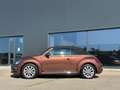 Volkswagen Beetle Cabriolet Design and Sound TOP ZUSTAND Braun - thumbnail 8