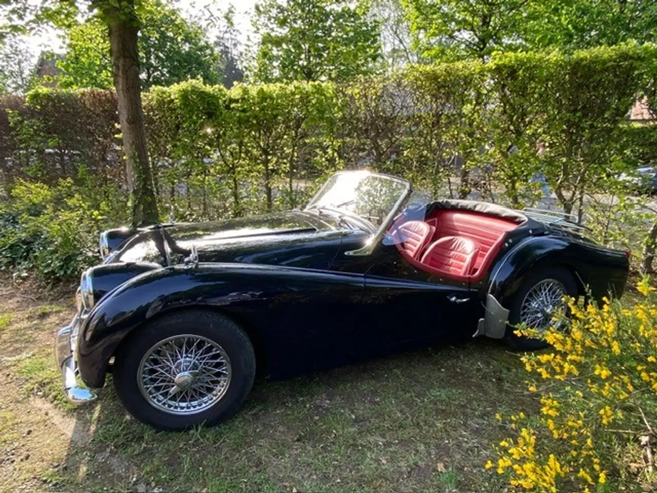Triumph TR3, foto 3