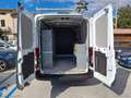 Ford Transit Tran.350 2.0 MHEV 130 PL-TM Furg.Trend PREZZO+IVA Weiß - thumbnail 18